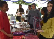 Anggota DPR RI Novita Hardini Dorong Ekonomi Kreatif Papua Jadi Jalan Menuju Daerah Mandiri