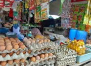 Harga Telur Ayam Ras di Trenggalek Melonjak, Tembus Rp 30.000 Per Kilogram