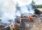 Kebakaran Melanda Tempat Penyulingan Daun Cengkeh di Trenggalek, Kerugian Capai Rp 500 Juta