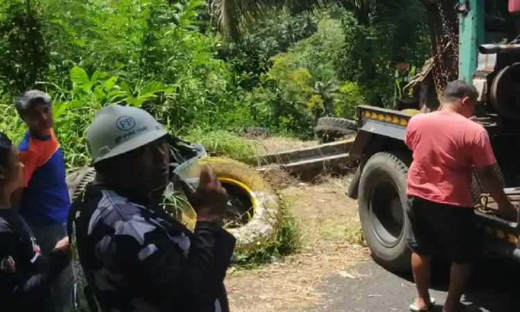 Mobil Terperosok ke Jurang di Trenggalek 6 Orang Warga Jombang Alami Luka Ringan