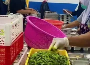 BGN Pastikan Program Makan Bergizi Gratis Tetap Berjalan Selama Libur Sekolah