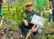 PKB Trenggalek Tanam Pohon di Hutan Kota, Tegaskan Komitmen sebagai Green Party