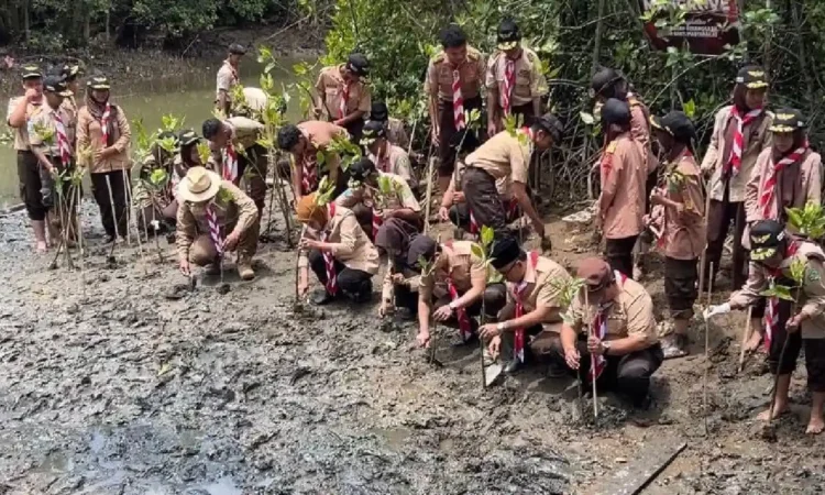 Tanam Mangrove di Pantai Cengkrong Trenggalek, Gubernur Khofifah Berpesan Jaga Lingkungan