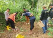 Bayi Ditemukan Tewas Dalam Karung di Trenggalek Diduga Ada Tindak Kekerasan