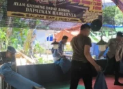 Polisi Bongkar Arena Sabung Ayam di Pogalan Trenggalek
