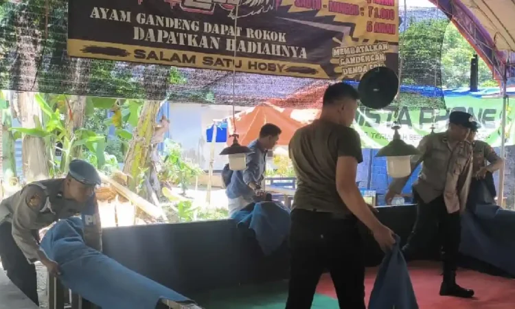 Polisi Bongkar Arena Sabung Ayam di Pogalan Trenggalek