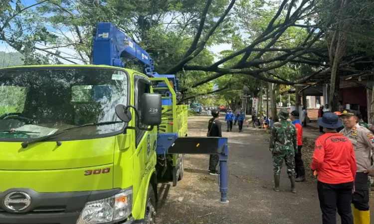 Prediksi BMKG, Cuaca Ekstrem di Trenggalek Masih Akan Terjadi Hingga 30 Januari