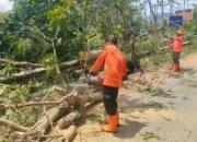 Cuaca Ekstrem Terjang Trenggalek, BPBD Catat 11 Titik Bencana di Lima Kecamatan