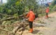 Trenggalek
