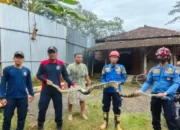 Damkar Trenggalek Tangani 684 Layanan Non Kebakaran di 2025, Animal Rescue Dominan