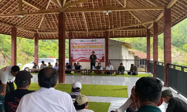 Cegah Konflik, Pemdes Tasikmadu Tegas Cabut Banner Klaim Lahan Eigendom di Kawasan Hutan