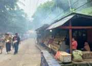 Kuliner Ikan Asap Pesisir Trenggalek: Gurih, Murah, dan Kaya Manfaat