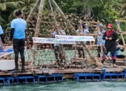 Rehabilitasi Terumbu Karang di Teluk Prigi Tunjukkan Hasil Positif, Ikan Mulai Bermunculan