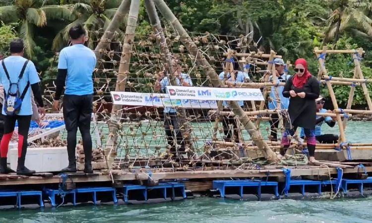 Rehabilitasi Terumbu Karang di Teluk Prigi Tunjukkan Hasil Positif, Ikan Mulai Bermunculan