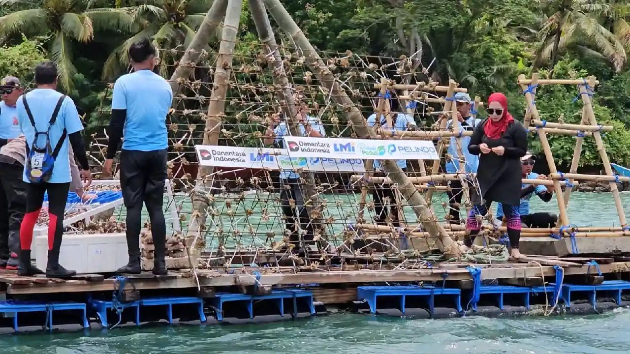 Terumbu karang Trenggalek