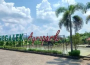 5 Lokasi Ngabuburit Asik di Trenggalek Saat Ramadan, dari Pasar Pon hingga Hutan Kota