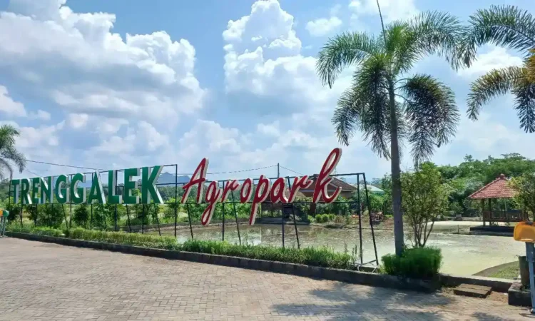 5 Lokasi Ngabuburit Asik di Trenggalek Saat Ramadan, dari Pasar Pon hingga Hutan Kota