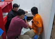 Alfamart di Pogalan Trenggalek Dibobol Maling, Uang Rp 12 Juta Raib dari Brankas