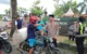 Trenggalek
