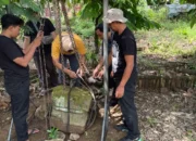 Disparbud Trenggalek Evakuasi 3 ODCB dari Permukiman Warga Kelutan