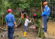 Ksatria Biru Trenggalek Beraksi, Berhasil Selamatkan Kerbau Bule Seberat 500 Kg dari Septic Tank