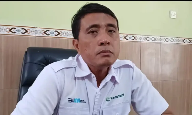 Perhutani Ungkap Tak Ada Proses IPPKH Baru di Trenggalek, Proses Izin Gratis Tak Ada Biaya