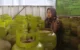Pertamina Trenggalek LPG 3 kilogram