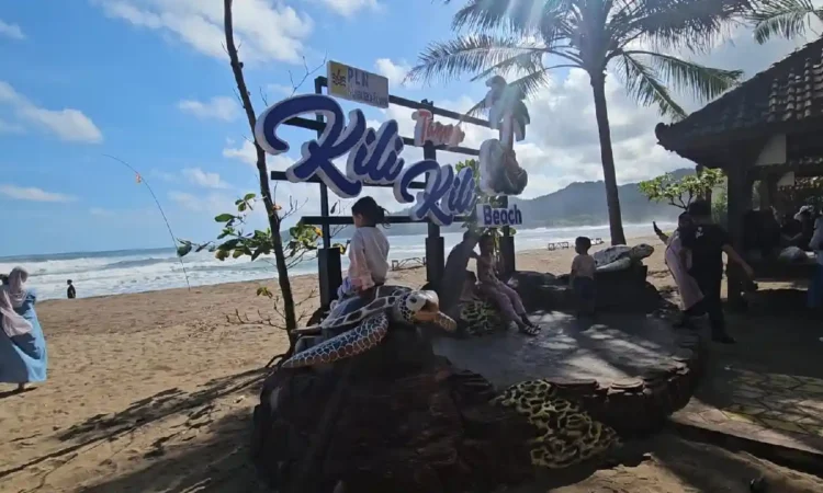 Konservasi Penyu di Pantai Taman Kili-kili Trenggalek Jadi Daya Tarik Wisatawan