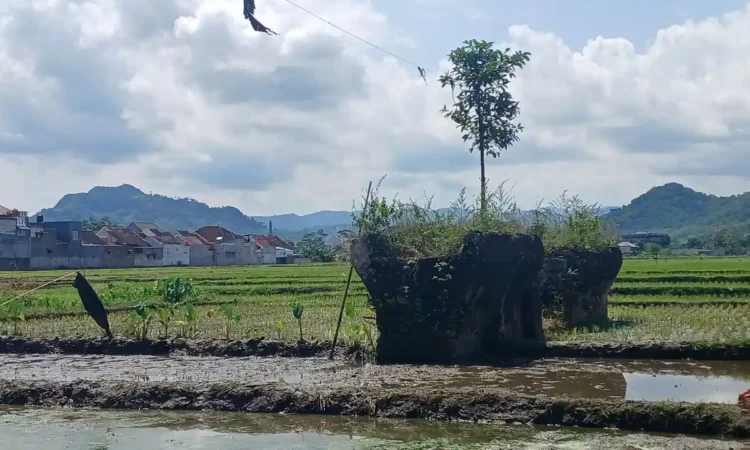 Jejak Kereta Api di Trenggalek: Dari Jalur Trem Kolonial hingga Tinggal Reruntuhan