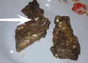 Warga Kampak Trenggalek Geger Temukan Dugaan Telur Belatung dan Ulat di Menu MBG