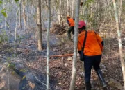 Jelang Kemarau, BPBD dan Perhutani Trenggalek Siaga Kebakaran Hutan dan Lahan