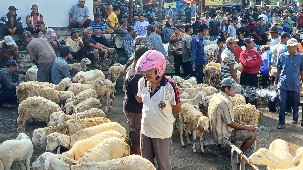 Trenggalek
