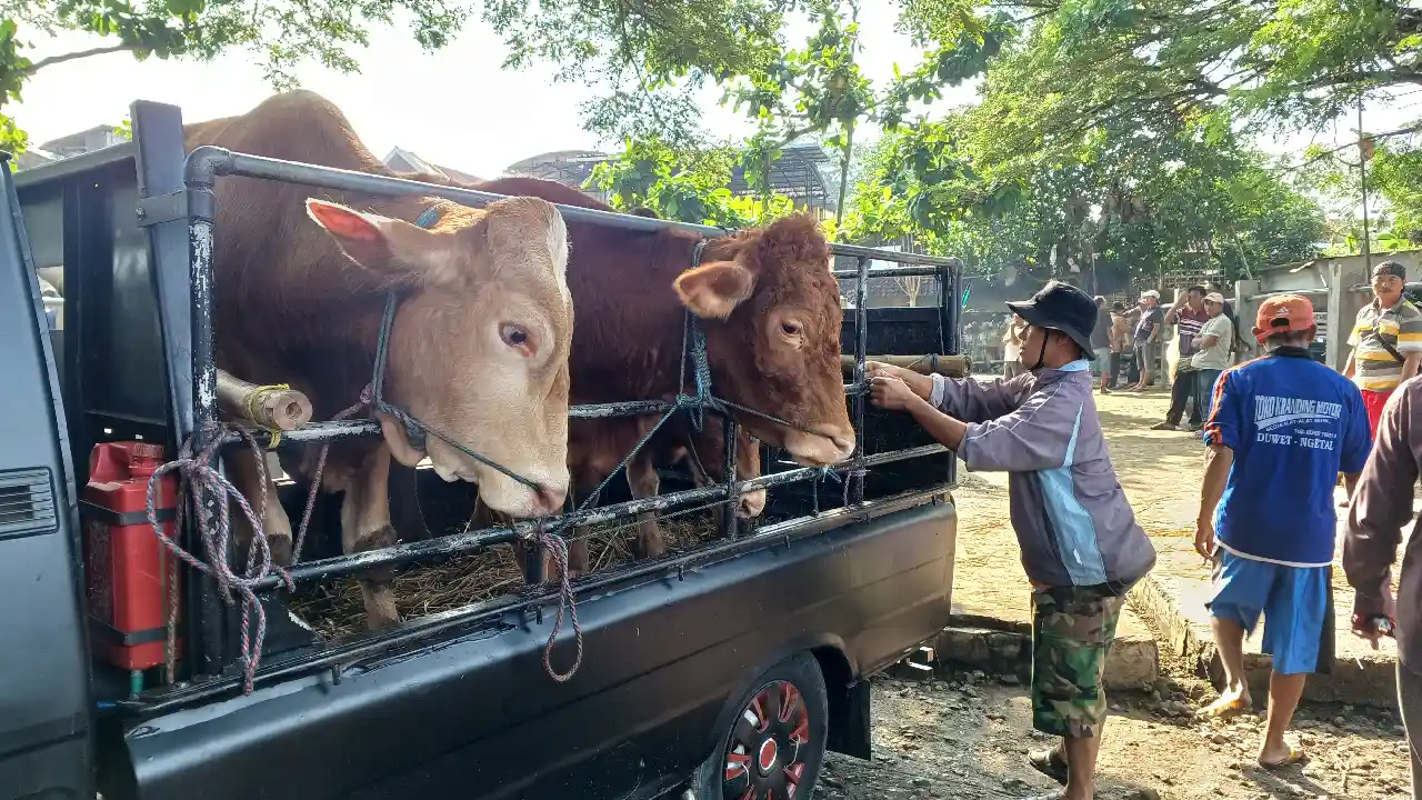Trenggalek