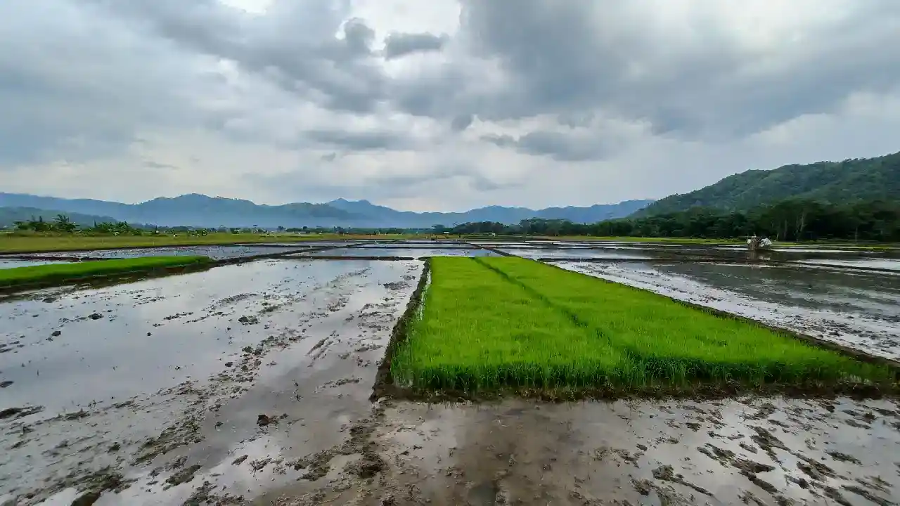 Trenggalek