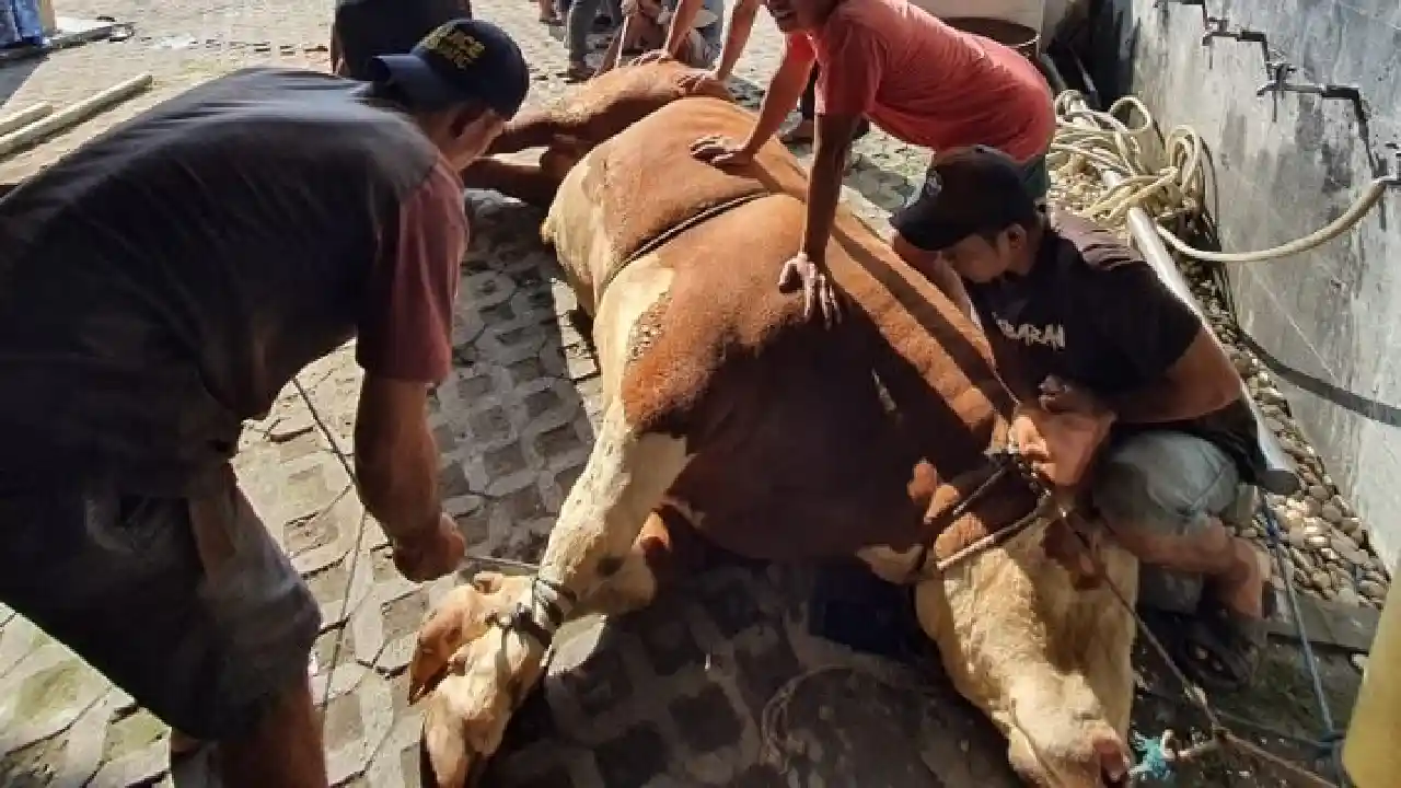 Trenggalek