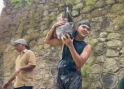 Trenggalek