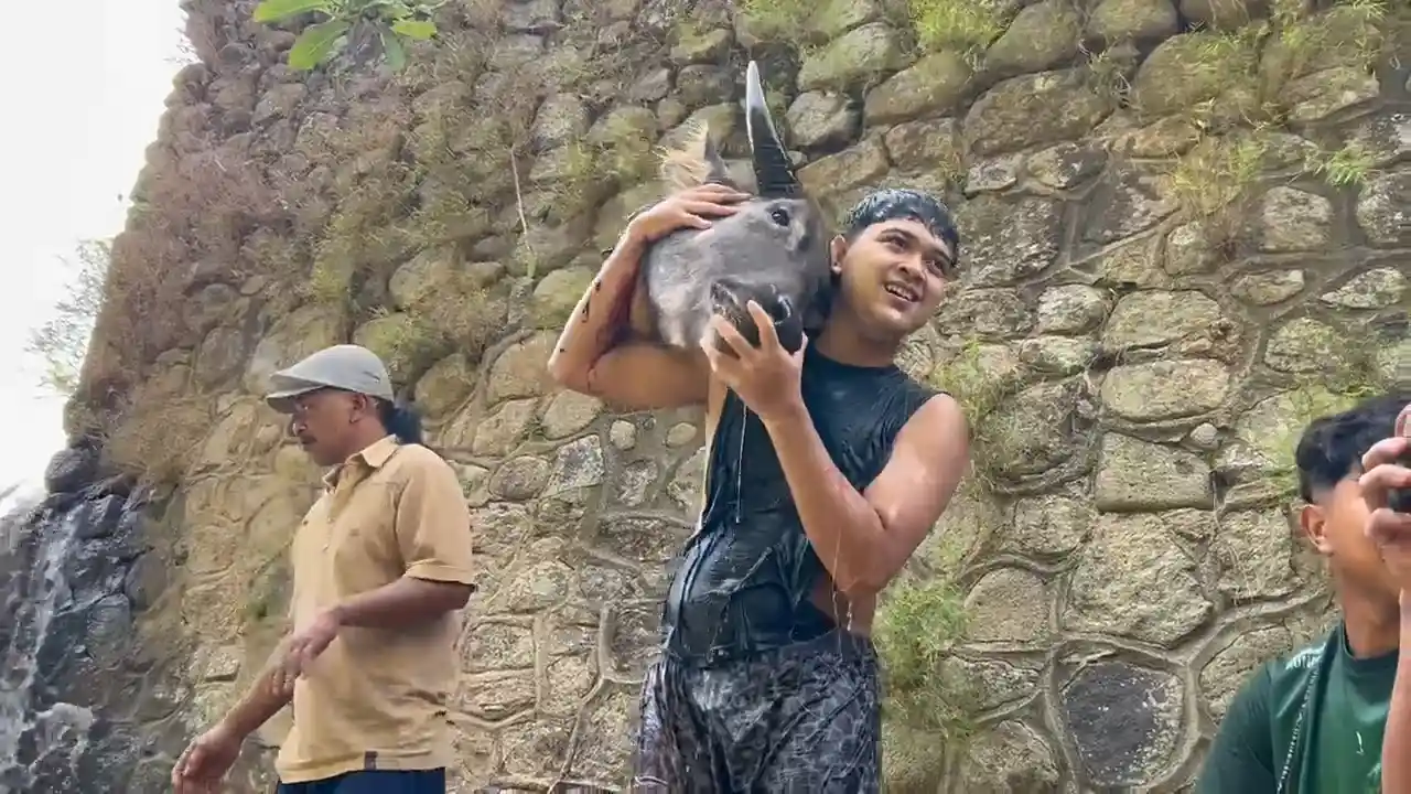 Trenggalek