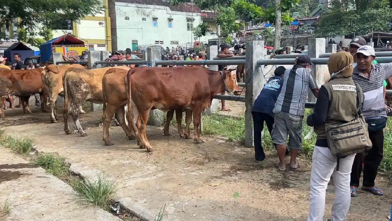 Trenggalek