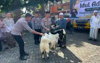 Trenggalek