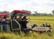 Kapolres Trenggalek Dorong Ketahanan Pangan, Hadiri Panen Raya Perdana Padi Organik