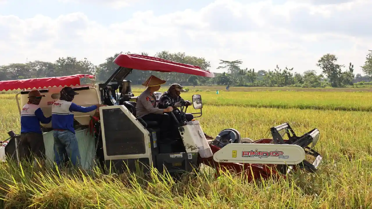 Trenggalek