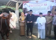 Trenggalek