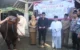 Trenggalek