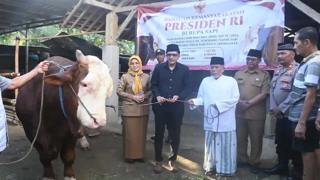 Trenggalek