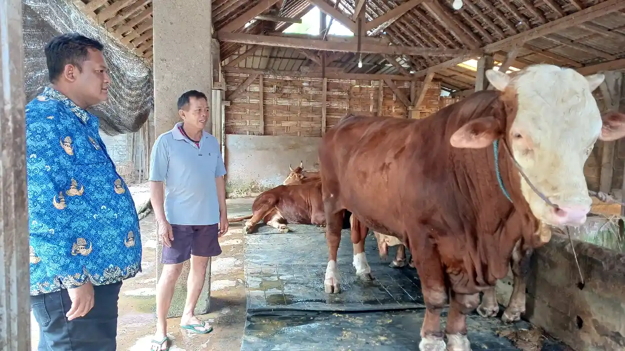 Trenggalek
