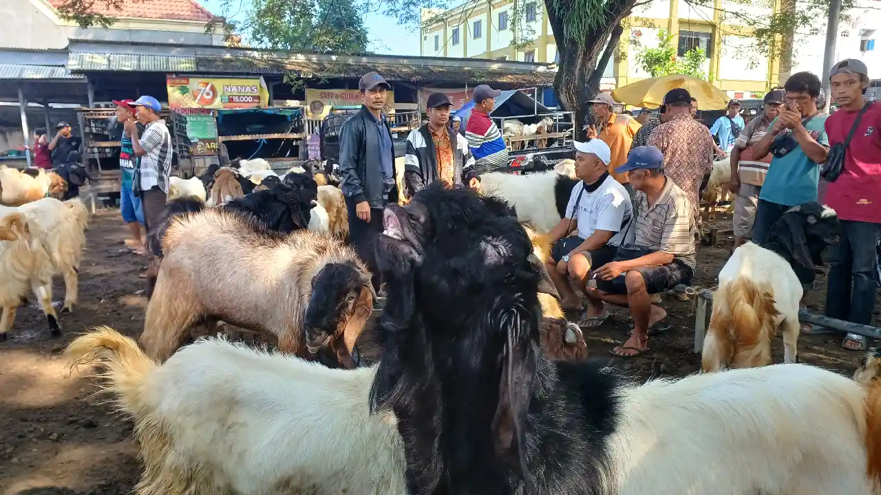Trenggalek