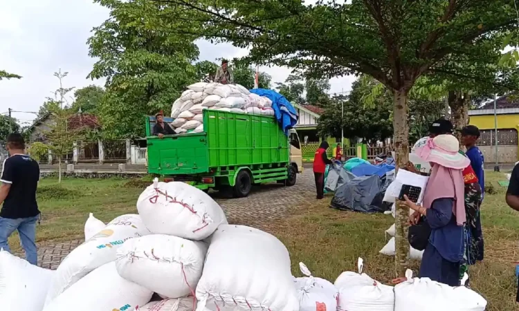 Serapan Gabah Bulog di Trenggalek Tembus Hampir 7 Ribu Ton Setara Beras, Naik Dua Kali Lipat dari Tahun Lalu