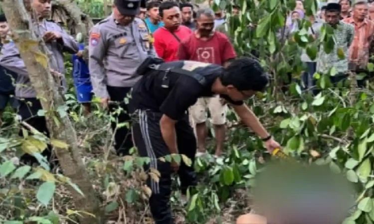 Warga Trenggalek Ditemukan Meninggal di Ladang, Diduga Jatuh dari Pohon Nangka