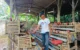 Trenggalek