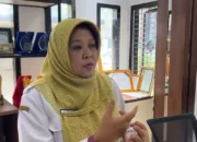 Trenggalek Menuju Geopark Nasional, Kajian BRIN Soroti Ancaman Tambang di Kawasan Karst